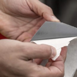 T rex vandeniui atspari plati juosta baseinams