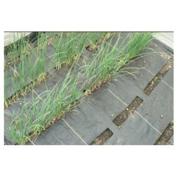 ✅ Agrotekstilė nuo piktžolių black mat pp uv agrotextile 70g 0,6x100m - augalų apsauga nuo piktžolių