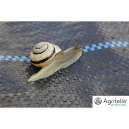 Agrotella mulčiavimo audinys nuo agritella piktžolių