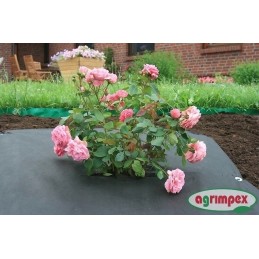 Agrotekstilės mulčiavimas nuo piktžolių 3,2x10m