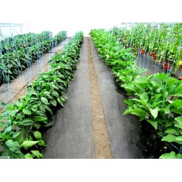 Agrotekstas 70g 0,4x100m