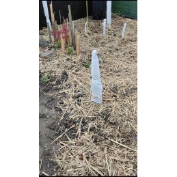 Žiemą dengianti agrotekstilė 70g/m2 ritinys