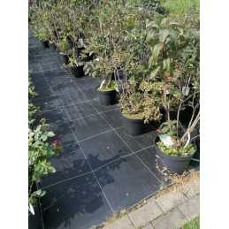 Juoda agrotekstilė|100g|mulčiavimo kilimėlis|nuo piktžolių| 3,20 x 1 m