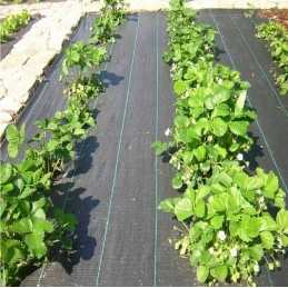 Agrotekstilė AAA 100g/m² juoda | plotis 3,20 m x metrai | į metrus