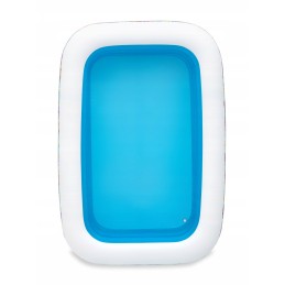 Pripučiamos baseino gėlės 229 x 152 x 56 cm bestway 54120