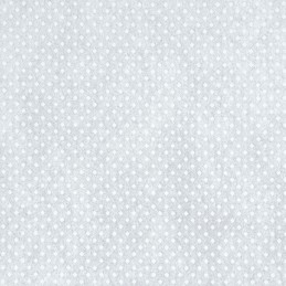 Agro neaustinė balta žieminė danga 1,6x50m 30g