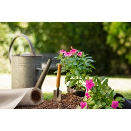 Agro neaustinė balta žieminė danga 1,6x50m 30g