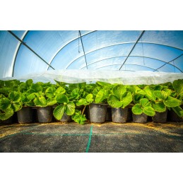 Agrotkanina piktžolių kontrolės kilimėlis su UV filtru