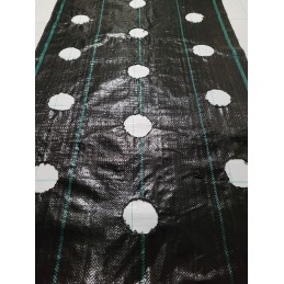 Agromedžiaga su skylutėmis sodinukams, 3 eilės, 110 cm