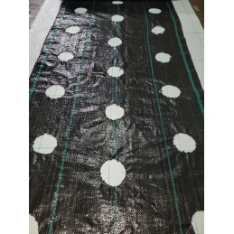 Agromedžiaga su skylutėmis sodinukams, 3 eilės, 110 cm