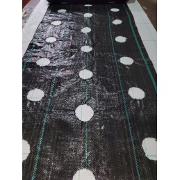 Agromedžiaga su skylutėmis sodinukams, 3 eilės, 110 cm