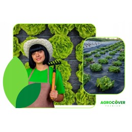 Agromedžiaga su skylutėmis sodinukams, 3 eilės, 110 cm