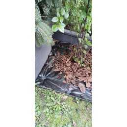 ✨ Agritella nuo piktžolių mulčiavimo agromedžiaga metrais