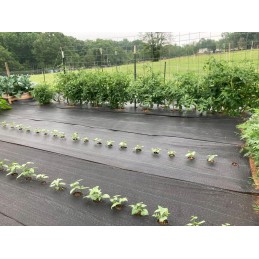 Tvirtas, nuo piktžolių, kilimėlio auginimo audinys 1m x 50m