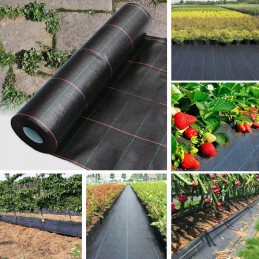 Tvirtas, nuo piktžolių, kilimėlio auginimo audinys 1m x 50m