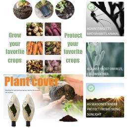 Jbson apsauginis maišelis augalams 2 vnt 1 2 x 1 8