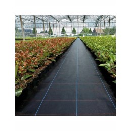 ⭐antipiktžolių agrotekstilė agrotekstilė 1,1x50m 70g⭐