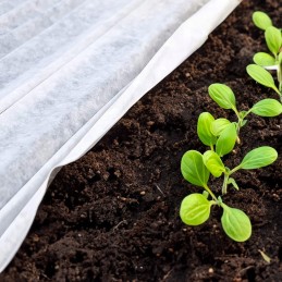 Žieminė danga agrotekstilė 50g/m2, rinkinyje 2 vnt.