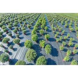 Labai storas agritella premium mulčiavimo audinys vienam metrui 3,2x1m 110g juodas