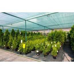 Labai storas agritella premium mulčiavimo audinys vienam metrui 3,2x1m 110g juodas