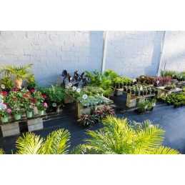 Labai storas agritella premium mulčiavimo audinys vienam metrui 3,2x1m 110g juodas