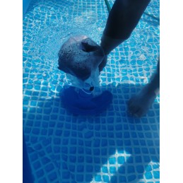 Baseino dulkių siurblys su šepečiu baseino sienelių ir dugno valymui