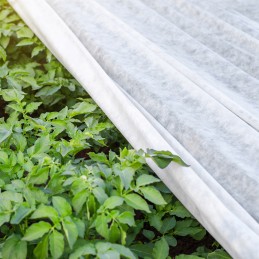 Balta pavasarinė agrotekstilė 17g - 4,2 x 20 m agrospeed