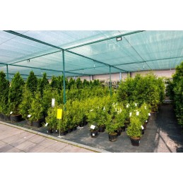 Labai storas agritella premium mulčiavimo audinys vienam metrui 3,2x1m 110g juodas