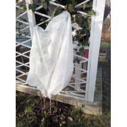 Apsauginis gaubtas augalams