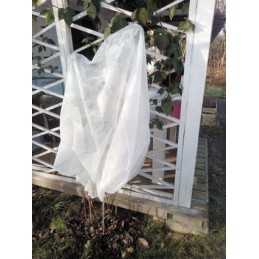 Apsauginis gaubtas augalams