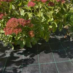 Žemės ūkio audinys, juodas, stiprus, lenkiškas, 100g, UV piktžolių kontrolė, 210 cm, metras, smeigtukai