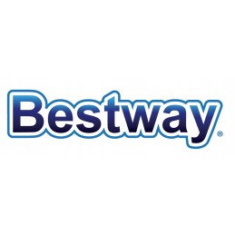 Bestway 60323 dulkių siurblys, skirtas baseino sūkurinei voniai
