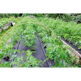 Agrotekstilės juodas kilimėlis nuo piktžolių sodui 50g 3,2x20m UV mulčiavimas