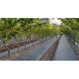 Agrotkanina 70g m2 1 62x50m premium uv 3 agrowloknina mat juodi inkarai