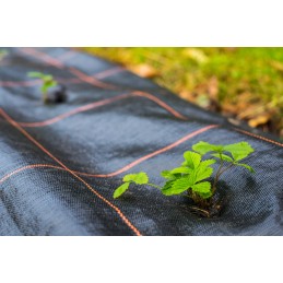 Agrotekstilė nuo piktžolių mulčiavimo 90g/m2 rulone 0,8x50m + inkarai