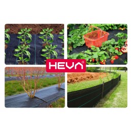 Agrotkanina nuo piktžolių kilimėlio heva | ritinys 1,6x50m, svoris 70g/m2
