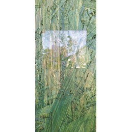 Itin stipri juosta baseino tinklinio tunelio taisymui