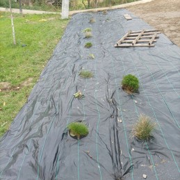 Agrotkanina nuo piktžolių kilimėlio heva | ritinys 1,6x50m, svoris 70g/m2