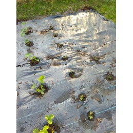 Agrotkanina nuo piktžolių kilimėlio heva | ritinys 1,6x50m, svoris 70g/m2