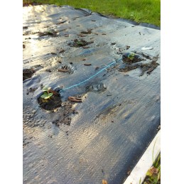 Agrotkanina nuo piktžolių kilimėlio heva | ritinys 1,6x50m, svoris 70g/m2