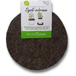 Esame oficialus poltopų atstovas