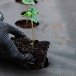 Agrotekstilė nuo piktžolių 1mx50mb