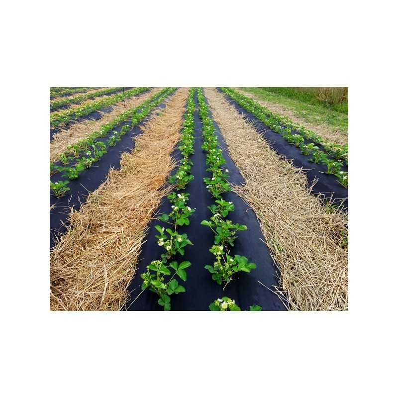 Agrotkanina agrowwoknina piktžolės 110 cm x 50m uv