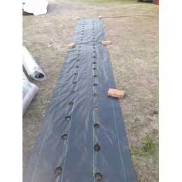 Agrotekstilė braškėms su skylutėmis, pomidorams, salotoms, agurkams