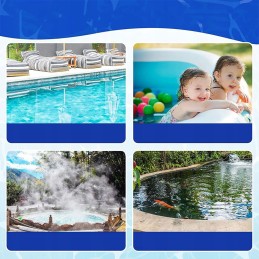 Baseino dulkių siurblys su šepetėliu 170 cm, baseino valymo rinkinys