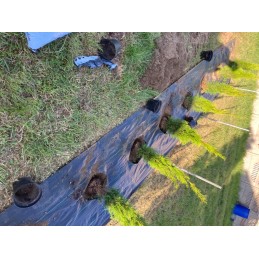 Storos agrotekstilės rinkinys 70g, agrotekstilė piktžolėms 1,1x100m + 100x inkarai