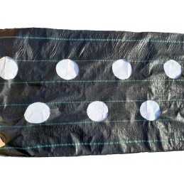 Agromedžiaga braškėms su skylutėmis nuo piktžolių, bet kokio ilgio