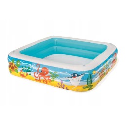 Pripučiamas sodo baseinas vaikams, irklavimo baseino stogas