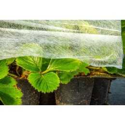 Baltos agrotekstilės plotis 6,35 m p23 (23g/m2)