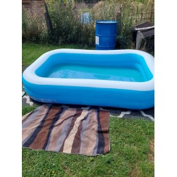 Bestway šeimos baseinas vaikams 262 x 175 x 51